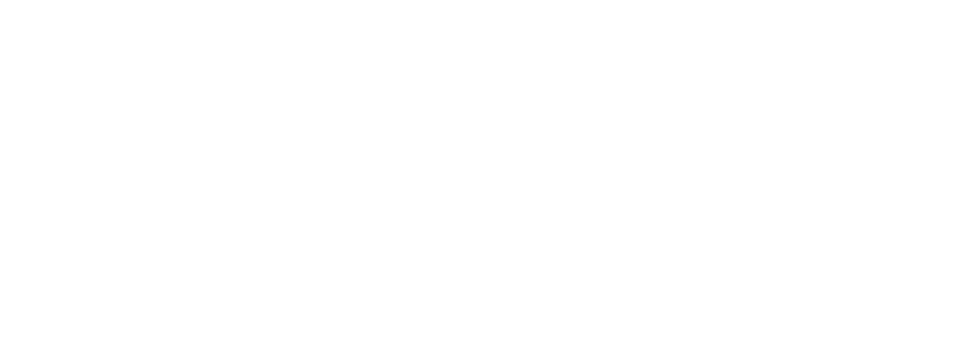  Consultor en Visas y Procesos Migratorios